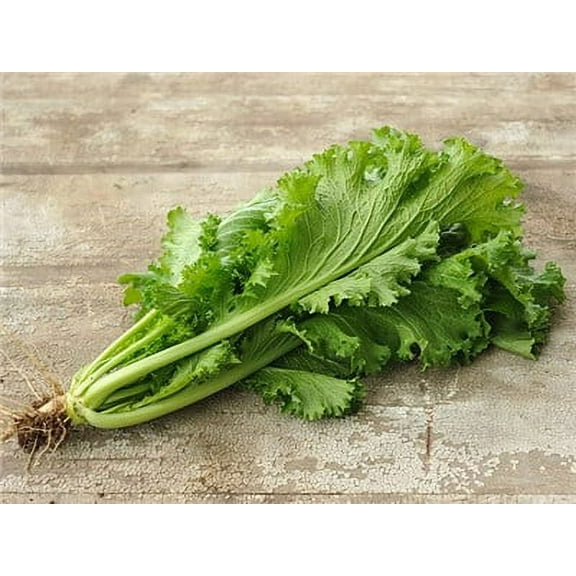 Southern Giant Mustard Green Seeds - 100 Count Seed Pack - Upright, Vigorous Hardy Plants with a mild mustardy Flavor. - Country Creek LLC