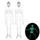 thumbnail image 1 of Hanging Luminous Skeleton Scary Halloween Skeleton [跃星辉]未处理知产万圣节夜光骷髅架恐怖鬼屋场景布置用品（袋装，配件如图） 2pcs（32厘米） ANGGREK Scary Halloween Skeleton, 1 of 8