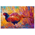 thumbnail image 1 of Great BIG Canvas | Rolled Marion Rose Poster Print entitled Pheasant, 1 of 4