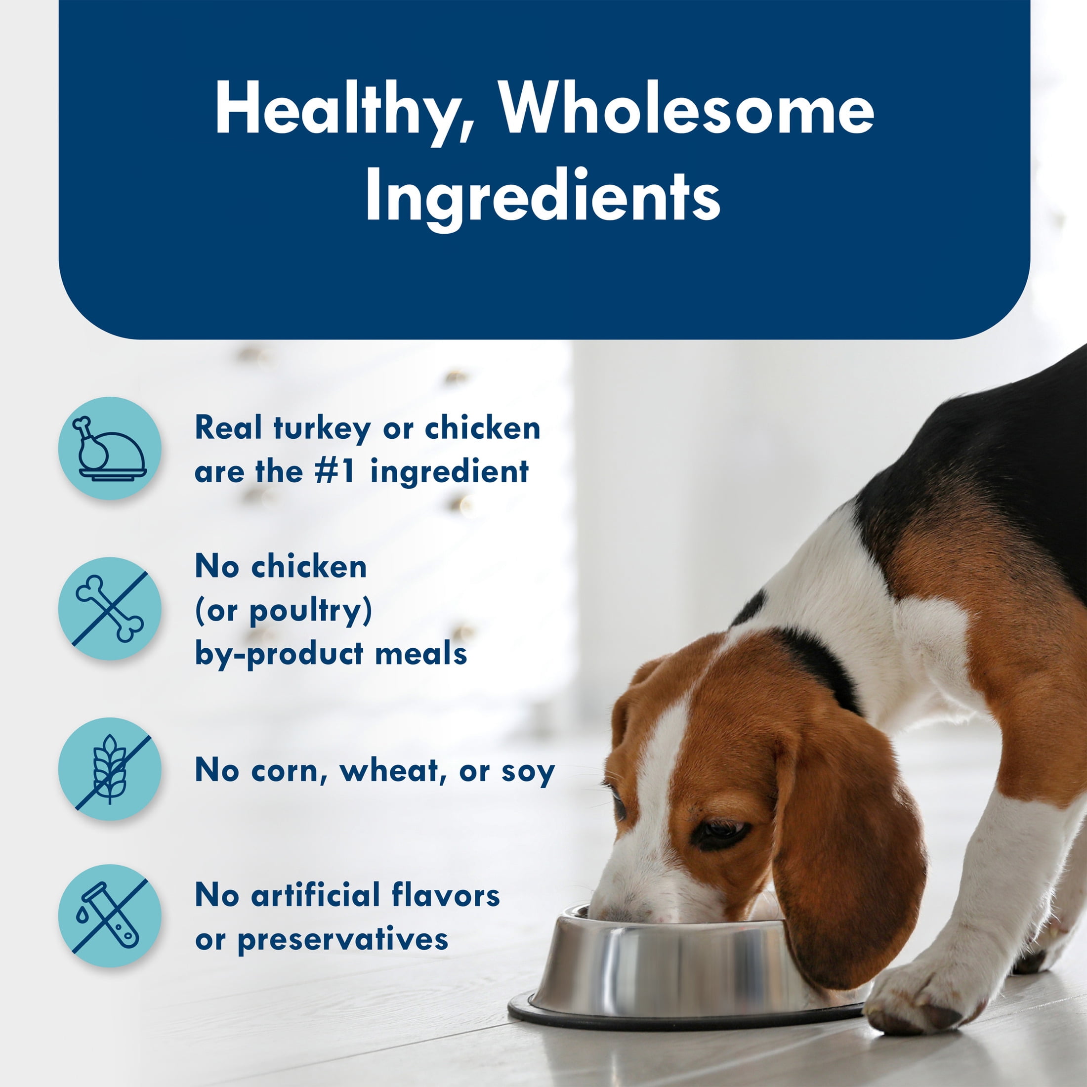 Blue Buffalo Delights Small Breed Natural Wet Dog Food Variety Pack, 3.5-oz. Cups, 12 Count