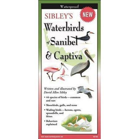 Sibley's Waterbirds of Sanibel & Captiva