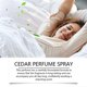 thumbnail image 3 of Cedar Eau De Toilette Natural Wooden Fragrance Fresh Light Floral Fragrance Glowing Elegant Romantic Aura Elegant Fragrance, 3 of 3