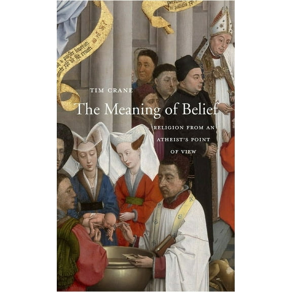 The Meaning of Belief (Hardcover)