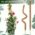 thumbnail image 4 of Senya 60 Inch Moss Pole for Plants Monstera, Tall Bendable Moss Poles for Climbing Plants Indoor, 4 of 6