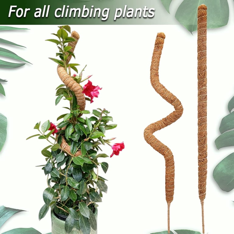 planter pot rectangle Rectangular Terra Cotta Planter