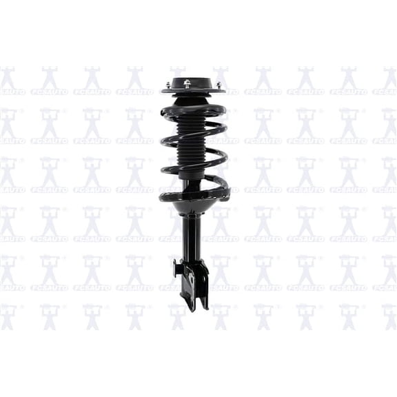 Suspension Strut and Coil Spring Assembly