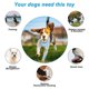 thumbnail image 2 of Juguete interactivo para morder perros, juguete volador para masticar agresivamente, juguete para morder perros, regalo para masticar, 2 of 5