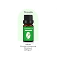thumbnail image 2 of Autorización Aceite esencial Mainstay 10ML Vela Unilateral Aromaterapia Naranja dulce Aceite de árbol de té Lavanda Material de vela DIY Aceite esencial de aromaterapia soluble en aceite (Compr, 2 of 5