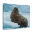thumbnail image 2 of Majestic Walrus Art Majestic Walrus Print Animal Wall Art Wildlife Canvas Prints Wall Art Ready to Hang Unframed, 2 of 18