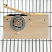 Exotic Nutrition Starter Package for Squirrels