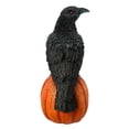 thumbnail image 2 of Way to celebrate! LED Lighted Crow Standing on Pumpkin, 2 of 4