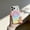 Colorful, variant on Designed For iPhone 17e/16e Phone Case,Compatible with Mag-Safe,Crystal Gradient Transparent Back,Slim Thin Shockproof Anti-fall Drop Protection,Non-Slip Cute Slim Protective Phone Case,Gold