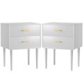Semiocthome Set of 2 Nightstands with 2 Drawers, Wood Bedside Table for