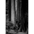thumbnail image 3 of Rowland, Joseph 13x18 Black Modern Framed Museum Art Print Titled - Silence, 3 of 5