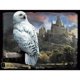 thumbnail image 1 of Harry Potter - Puzzle Rompecabezas Diseño 3D Hedwig (Multicolor), 1 of 2