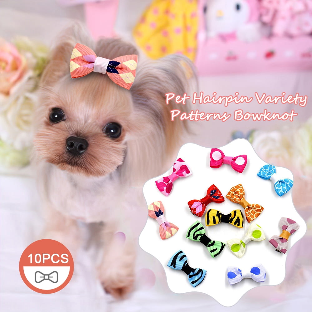 dog hair pin