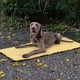 thumbnail image 2 of Cama mullida esencial de viaje portátil Methold para perros Amarillo, 2 of 6