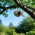 thumbnail image 5 of Wooden Hummingbird House, Outdoor Hanging Bird Nest for Garden, Natural Wood Bird Cage Decor for Hummingbirds, 5 of 6