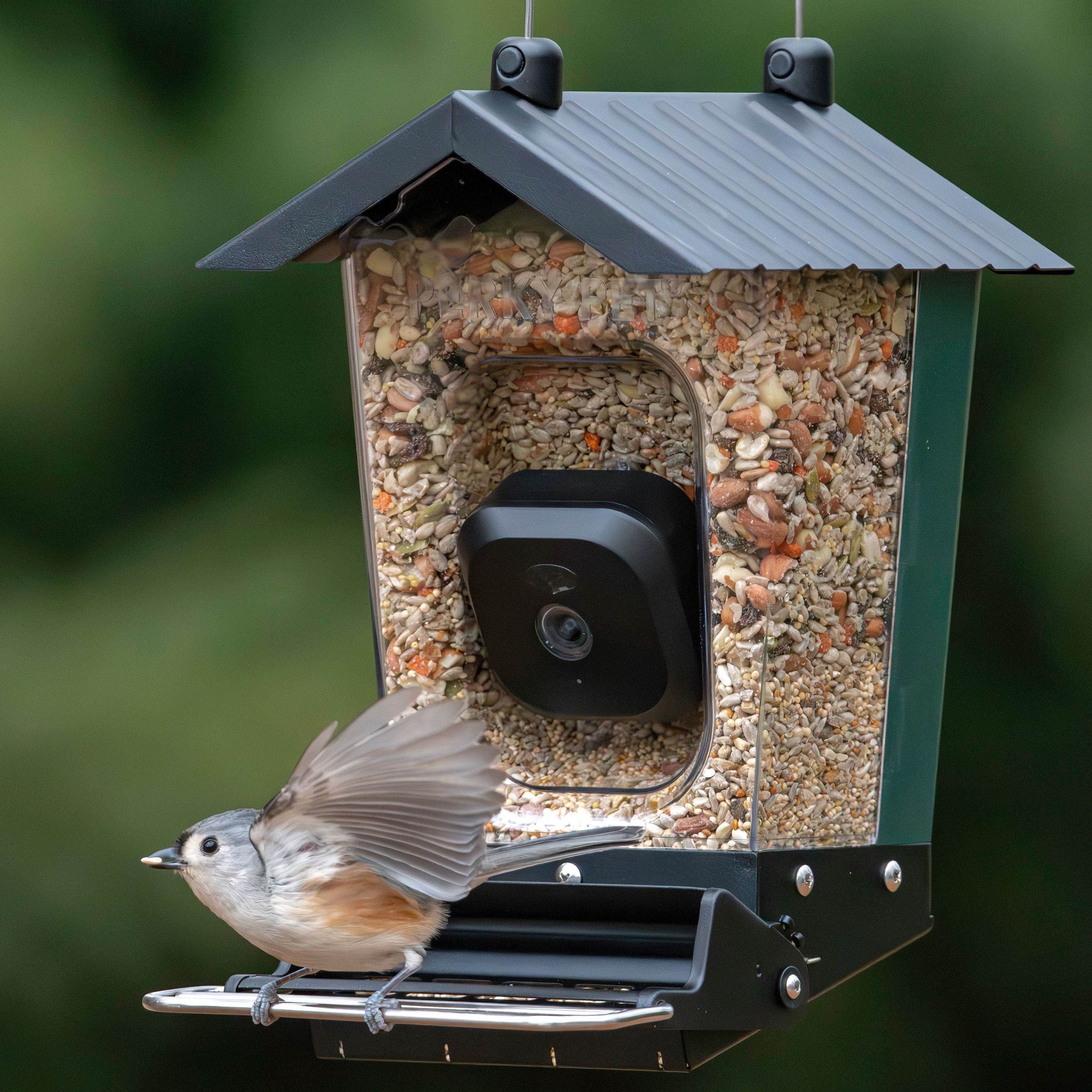 Perky-Pet 3.5lb Smart Camera Squirrel-Resistant Bird Feeder