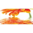 thumbnail image 4 of Flower Piggy Bank, Sun Flora Reflection on the Water in a Rainy Day Leaves in a Water River Photo, Ceramic Coin Bank Money Box for Cash Saving, 3.6" X 3.2", Orange, by Ambesonne, 4 of 4