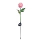 thumbnail image 1 of Luces solares de flores decorativas para exteriores, luces solares de crisantemo impermeables para exteriores, 1 of 5