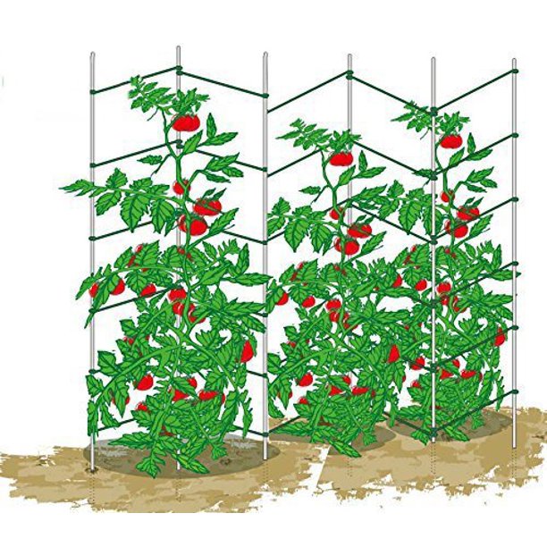 Mr. Garden Expandable Wave Trellis, Tomato Trellis, Pea Wall, Cucumber