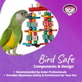thumbnail image 7 of Super Bird Creations SB448 Katy's ABC Jr. Interactive Bird Toy - Durable Chew Toy, Non-Toxic Textured ABC Blocks, Safe 'Polly' Rope, Ideal for Parrots & Ringnecks - Medium Bird Size - 7" x 5" x 1.5", 7 of 7