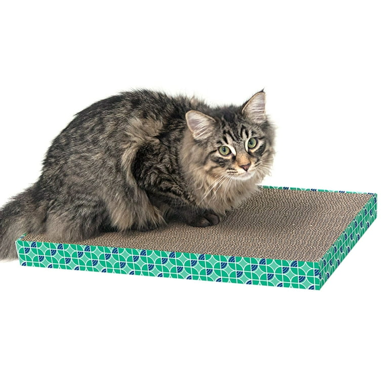格安SALEスタート！ Pack 3 Wide XL City Kitty Corrugated Pads Scratching Cat テープ・マスキングテープ