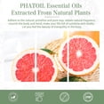 thumbnail image 6 of PHATOIL Grapefruit Essential Oils for Diffusers Humidifier 100% Pure Natural Aromatherapy Massage Bath Sleep Relaxation 30ml/1.01 fl.Oz, 6 of 7