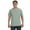 BAY, variant on C1717 Adult Heavyweight T-Shirt