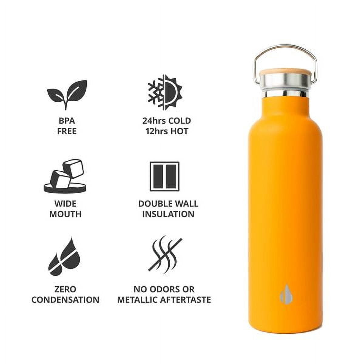 Elemental Classic Insulated Water Bottle, Leak Proof Thermos Water Bottle with Bamboo Lid and Metal Ring, Reusable Insulated Stainless Steel Water Bottle, 25oz Citrus