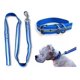 thumbnail image 4 of Juego De Collar Ajustable Y Correa Reflejante Para Perro Med, 4 of 6