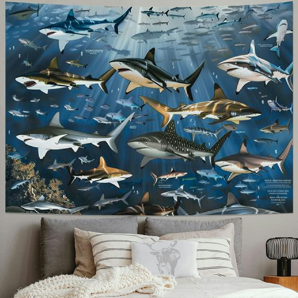 BCIIG Pop Charts | Shark Art Shark Species Illustration Prints