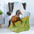 thumbnail image 4 of Animal Soft Flannel Fleece Throw Blanket, Horse Runs Gallop on Flower Meadow Rural Freedom Animal, Cozy Plush for Indoor and Outdoor Use, 60" x 80", Green Brown Baby Blue, by Ambesonne, 4 of 5