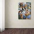 thumbnail image 3 of Trademark Fine Art 'Country Pups' Canvas Art by Jenny Newland, 3 of 3