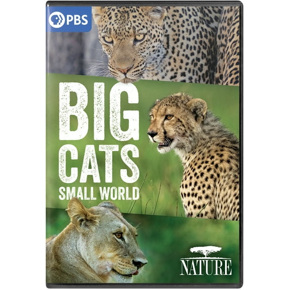 NATURE: Big Cats, Small World