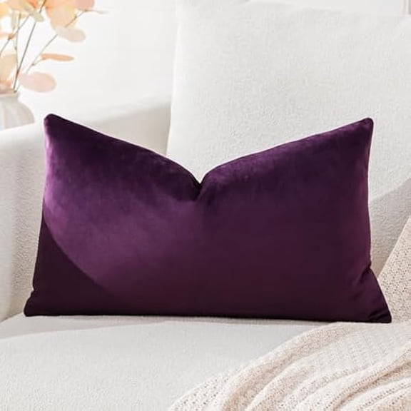 Eryueer Luxury Velvet Cushion Covers Super Soft Decorative Throw Pillow Covers Case Lumbar Cushion Cases for Sofa Couch Bedroom Car Decor 30x50cm Eggplant Purple