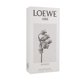 thumbnail image 3 of LOEWE AIRE SUTILEZA 100ML EDT SPRAY, 3 of 3