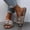 Khaki, variant on Slippers for Women Indoor Winter Warm Solid Color Cute Plush Ball Home Round Head Soft Soled Cotton Slippers(Pink)