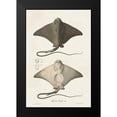 thumbnail image 2 of Unknown 13x18 Black Modern Framed Museum Art Print Titled - Antique Rays IV, 2 of 5