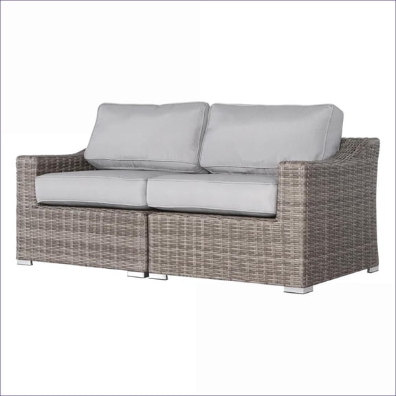 Outdoor Wicker Loveseat, Modern 66" Fully Assembled, Weather Resistant Plush Cushions for Patio Porch |Wicker|Solid Back