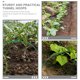 thumbnail image 3 of Phenofice 2Ud Raised Bed Greenhouse Hoops with Frame Practical Support for All Season Plant Growth, 3 of 8