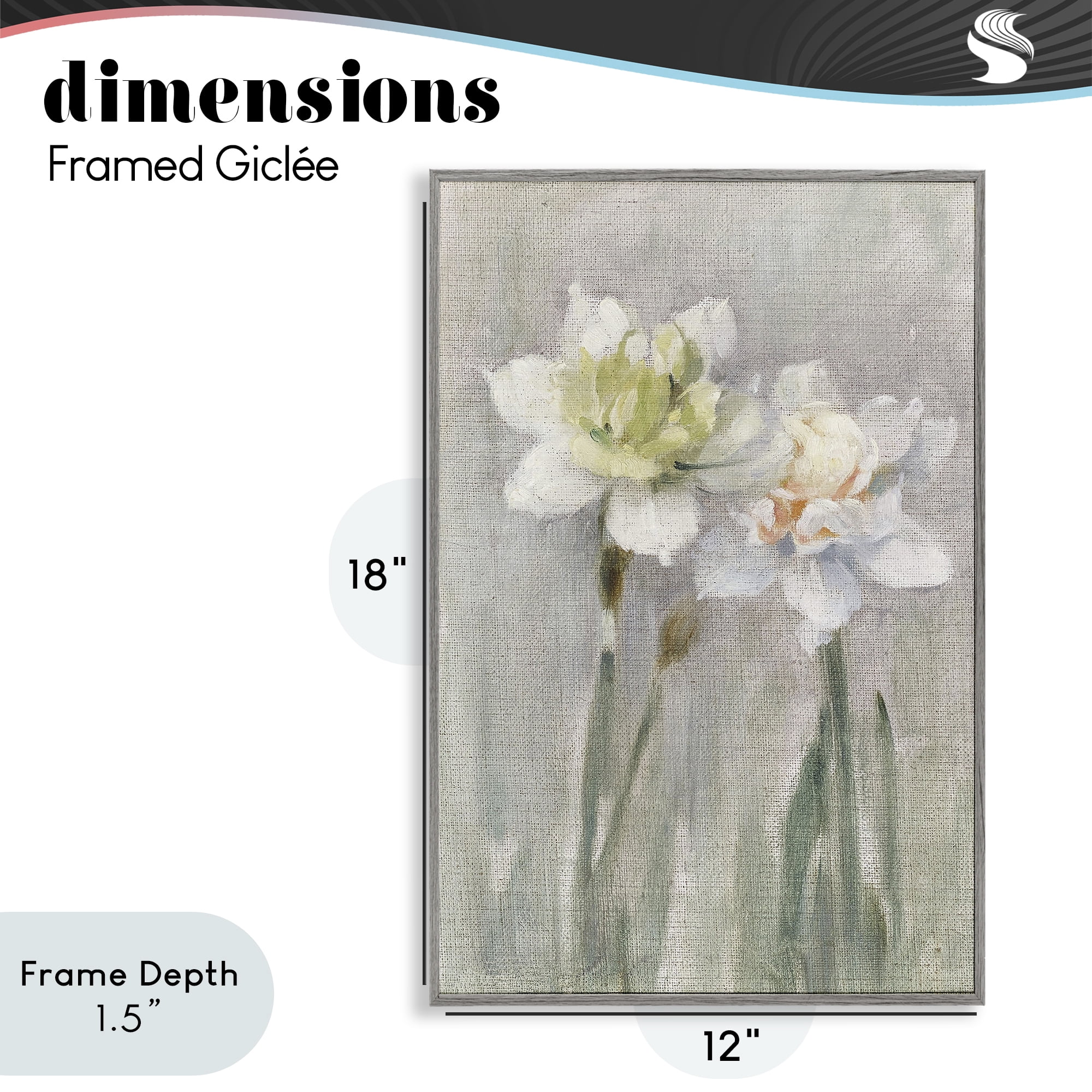 Stupell Industries Twin White Daffodils Gray Framed Giclee Art, design by Stellar Design Studio