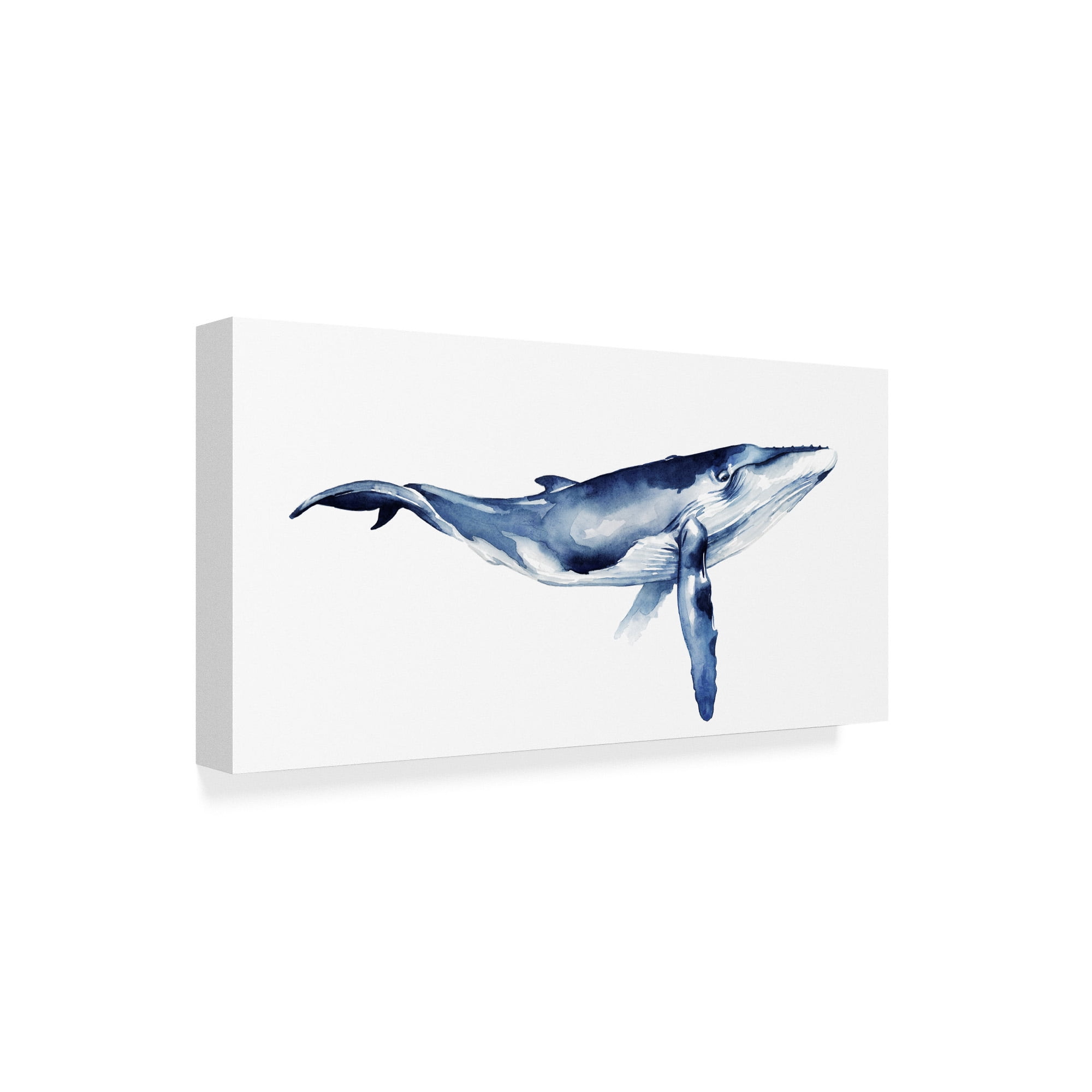 Trademark Fine Art 'Whale Portrait I' Canvas Art by Grace Popp