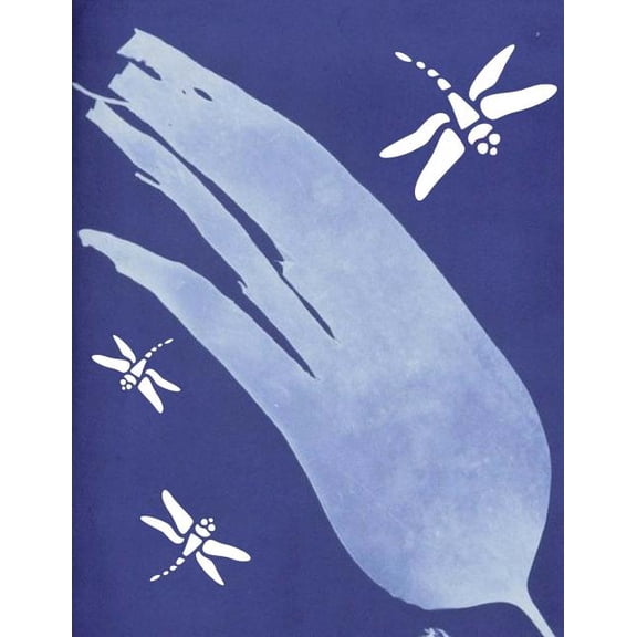Storybook Paper Notebook: Dragonflies with Blue Background (Paperback)