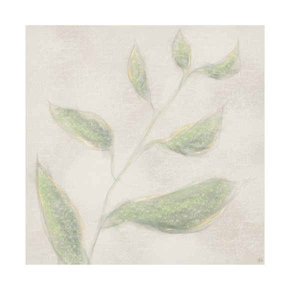 Canvas Wall Art - Line and Brush 'Botanical Single Growth 1' Wall Art for Living Room, Bedroom, or Office Décor by Trademark Fine Art - 14 x 14 Inches
