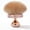 Pink2, variant on WrongDuck Extra Large Body Makup Brush for Self Tanner Blend and Blur Body Brush, 3.2 Inch Wide-headed Sunscreen Applicator for Face, Legs, Body, Powder, Cream and Foundation (Gold)