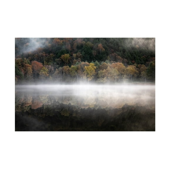 Trademark Fine Art Daiki Suzuki The mystical pond in the autumn Canvas Wall Art