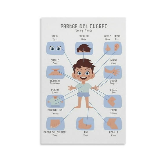 Spanish Posters for Classroom Spanish Education Poster Canvas Art Poster And Wall Art Picture Print Modern Family Bedroom Decor Posters