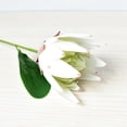thumbnail image 5 of Artificial Flowers Fake Protea Cynaroides:Faux Protea Flower Arrangements,Silk Flowers for Home Decor Indoor Wedding Table Centerpieces,3pcs (White), 5 of 10